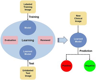 Artificial intelligence in assisting pathogenic microorganism diagnosis and treatment: a review of infectious skin diseases